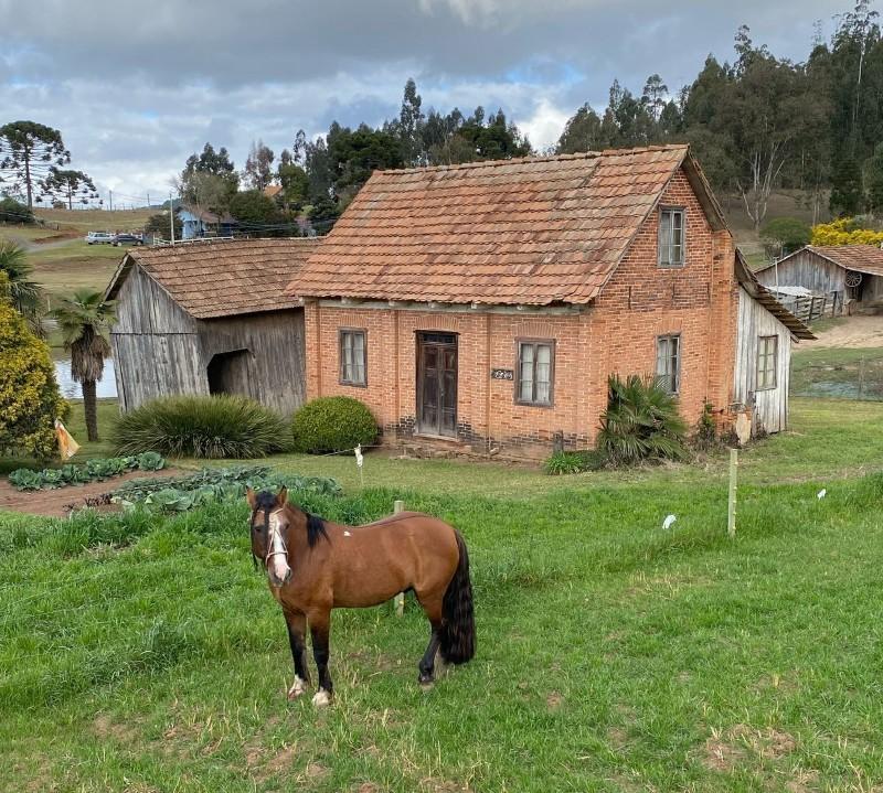 São Bento do Sul promove caminhada pela Estrada Dona Francisca