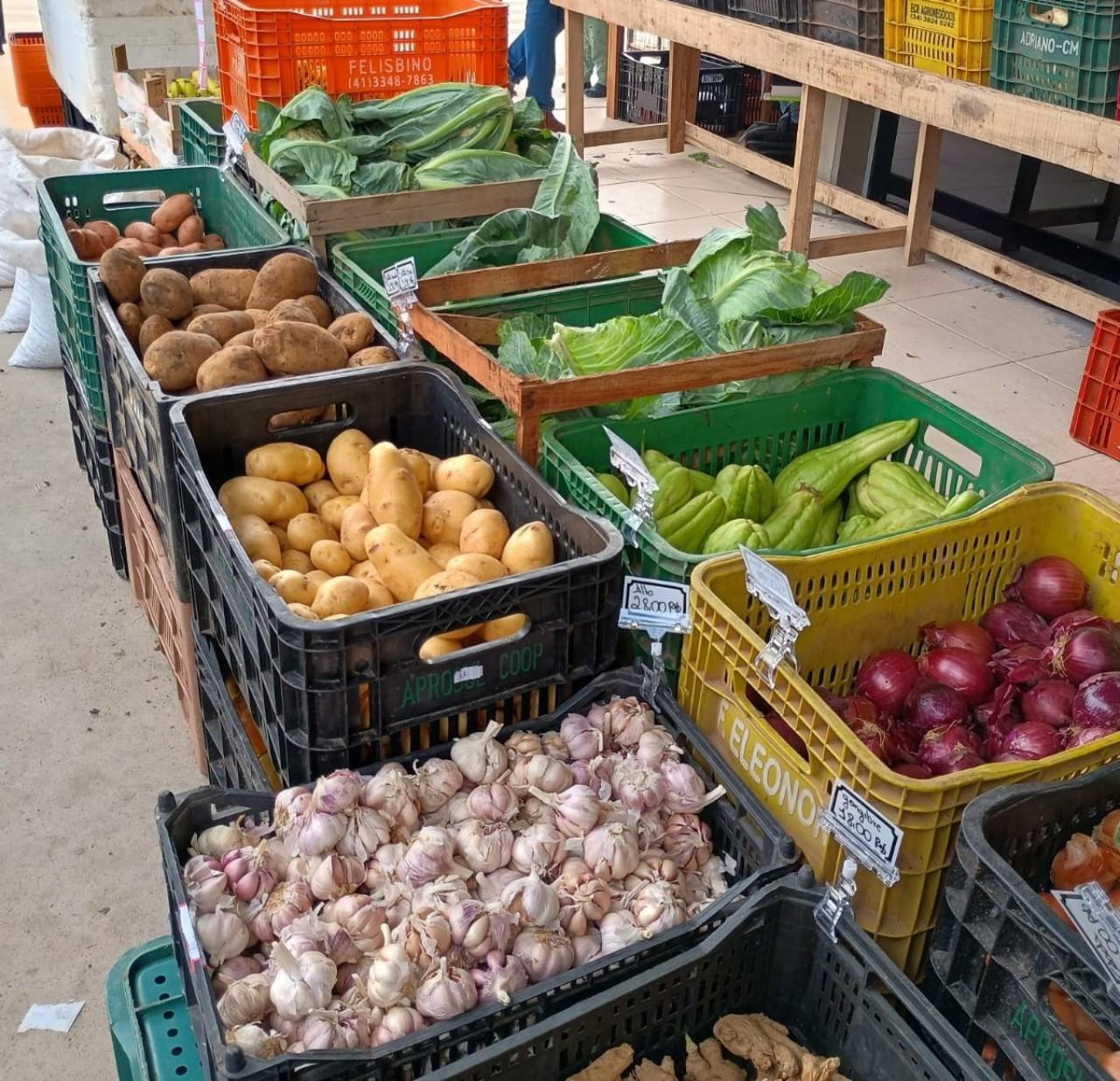 Câmbio Verde recolhe mais de 5 toneladas de recicláveis em Serra Alta