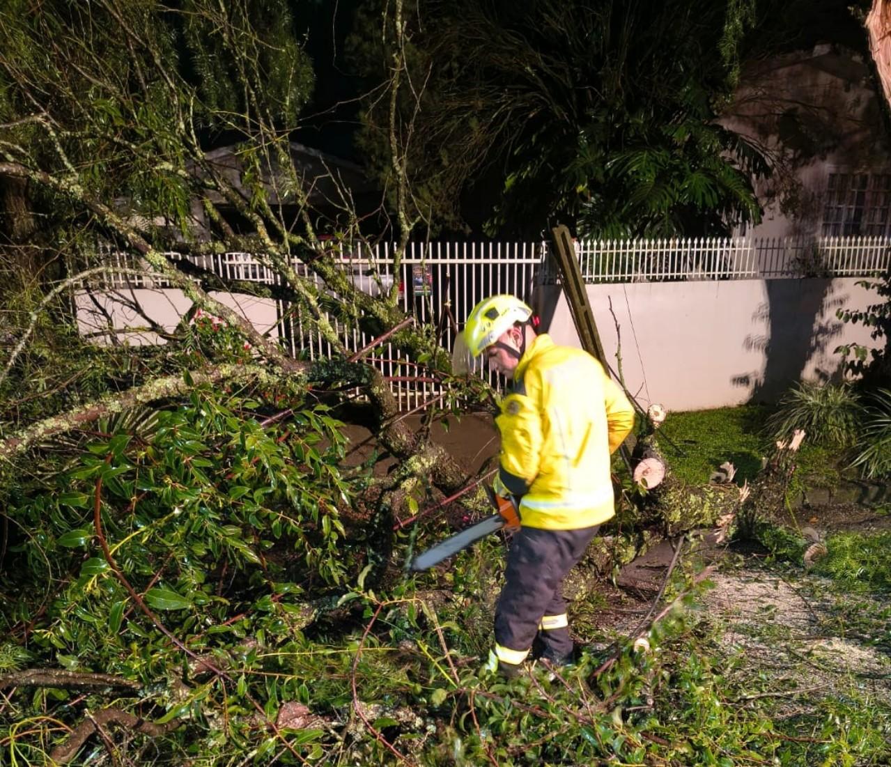 Temporal causa queda de árvores, destelhamentos e falta de energia em Papanduva