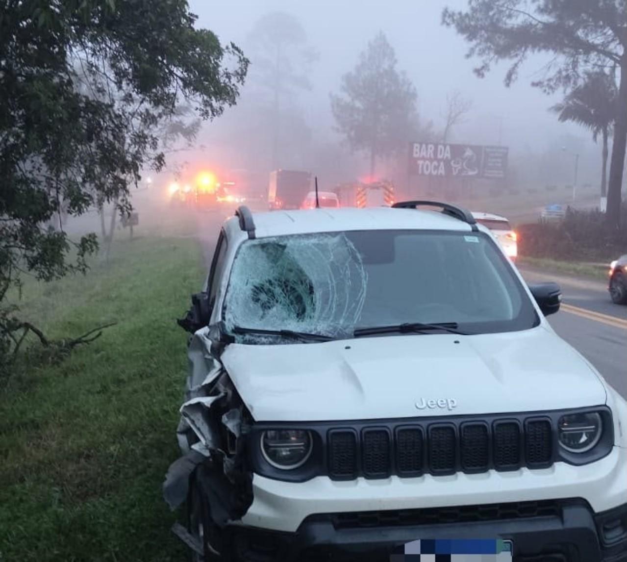Tragédia na BR-470: irmão de 7 anos e irmã de 14 morrem atropelados em Pouso Redondo