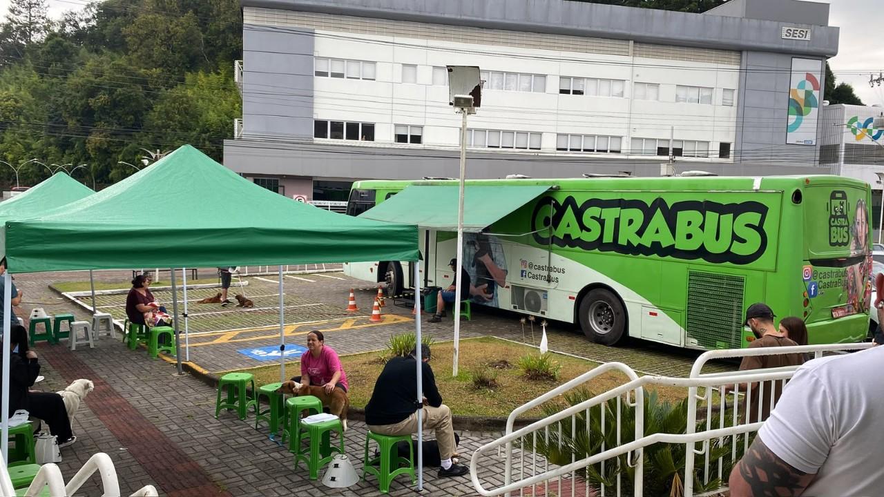 Ainda Restam 50 vagas para castrações de cães e gatos em São Bento do Sul 