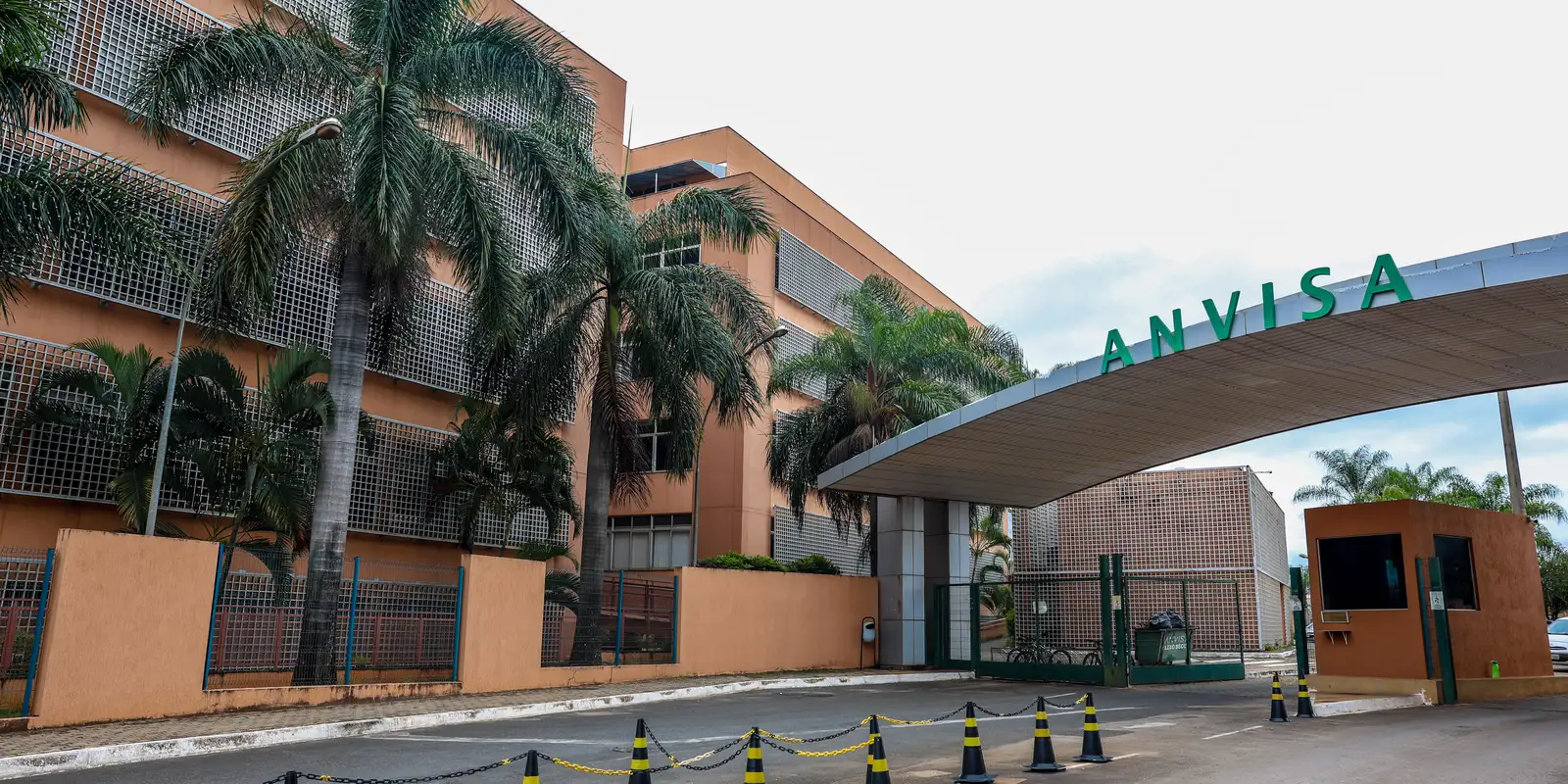 Anvisa alerta risco de deficiência de B6 com uso de carbidopa/levodopa