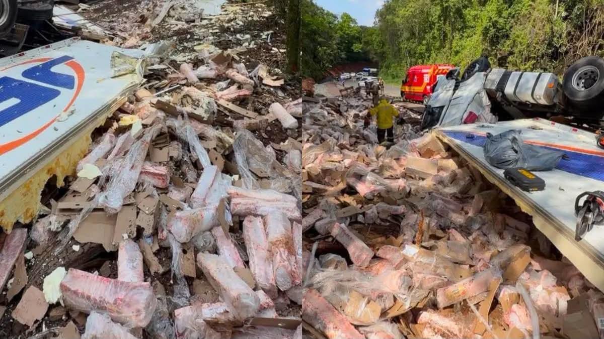 Caminhoneiro morre após carreta capotar e é encontrado sob carga de suínos em SC
