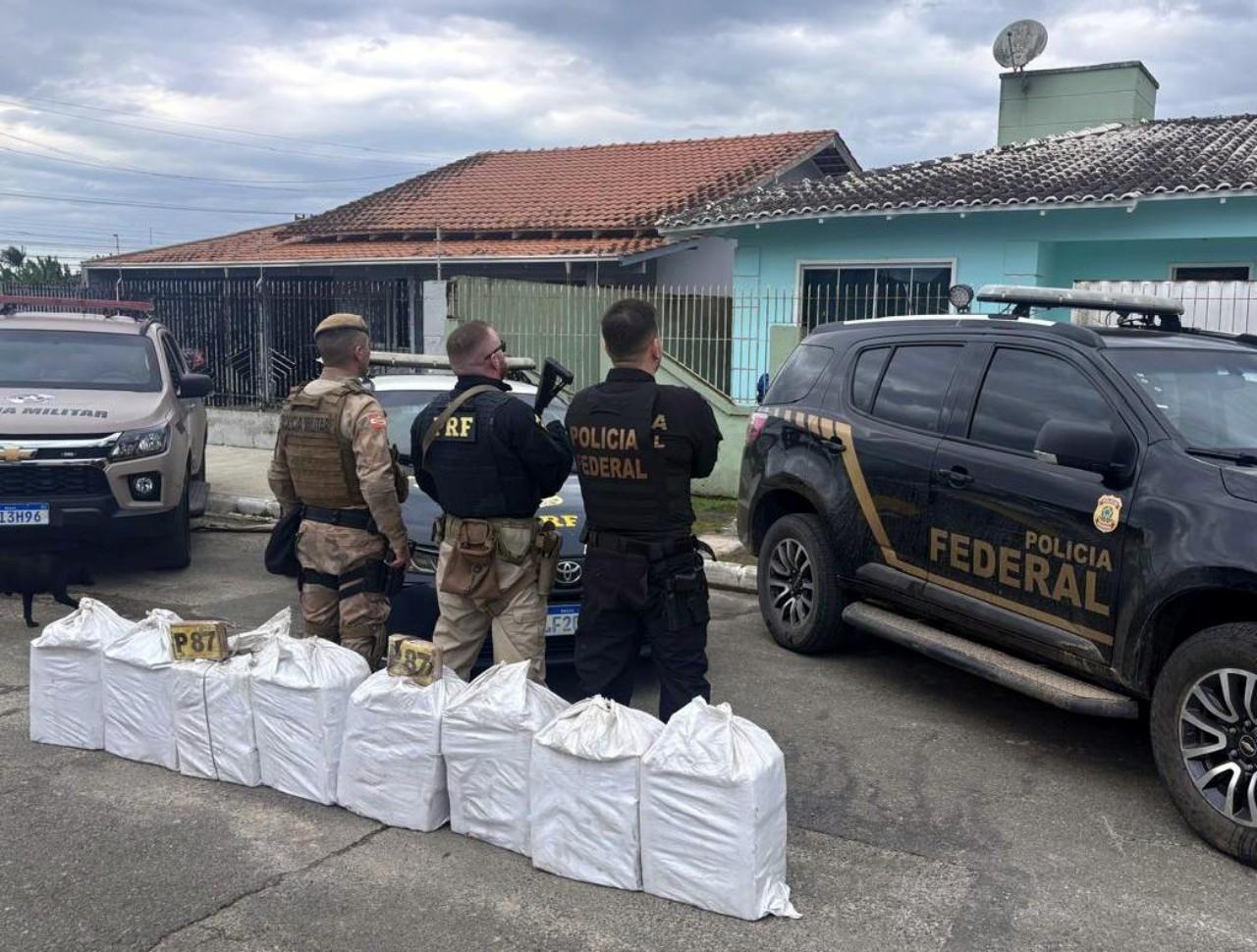 Depósito subterrâneo com 231 quilos de cocaína é descoberto em Itajaí