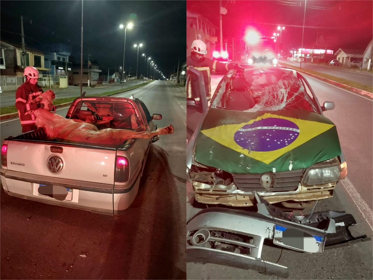 Carro bate contra cavalo, mulher fica ferida e animal vai parar na caçamba em Lages