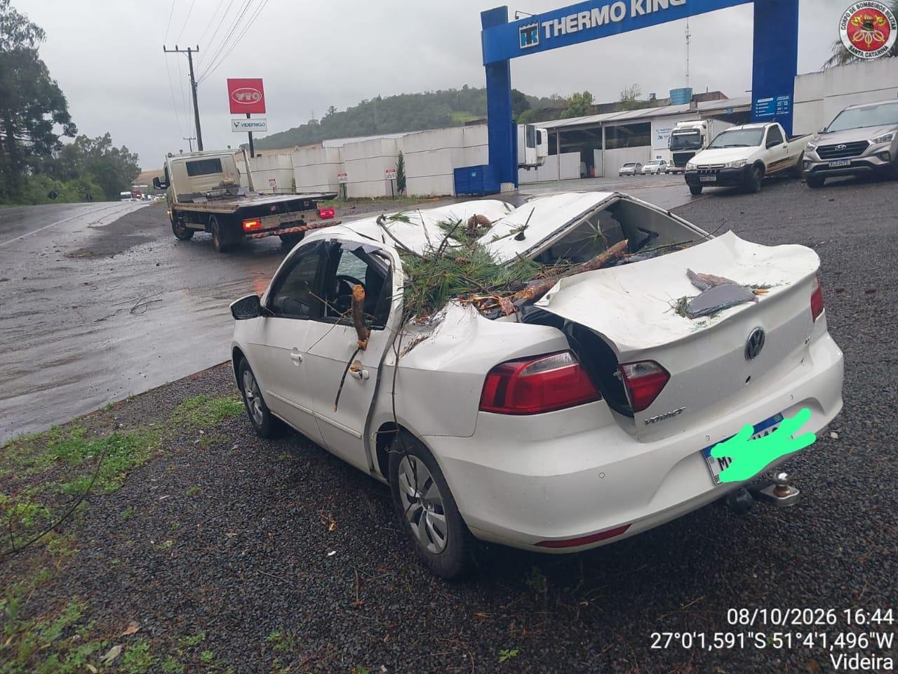 Duas árvores caem sobre rodovia e atingem carro na SC-355, em Videira