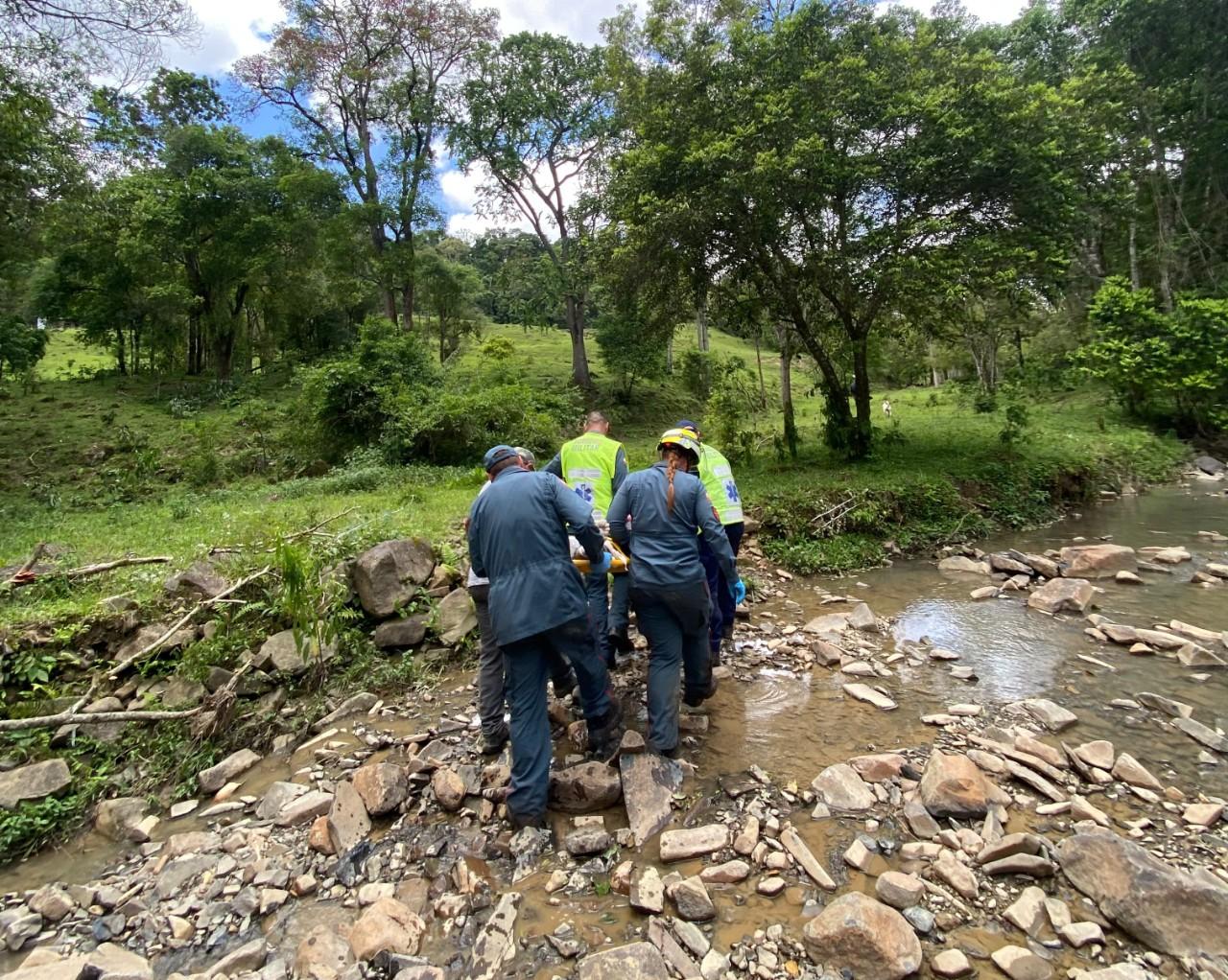 Idoso de 83 anos fica ferido durante corte de árvore em Papanduva