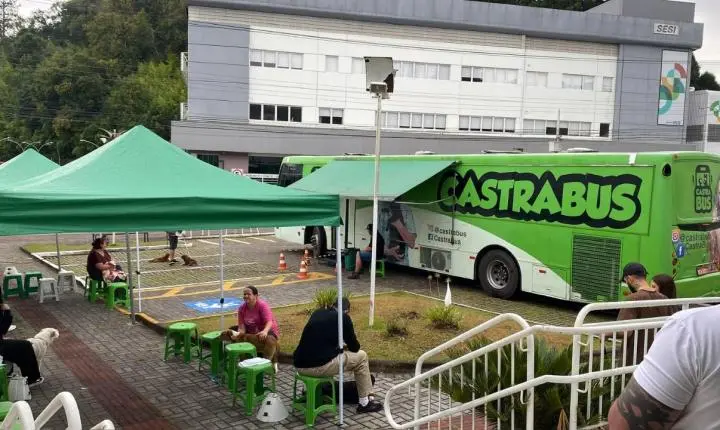 Ainda Restam 50 vagas para castrações de cães e gatos em São Bento do Sul 