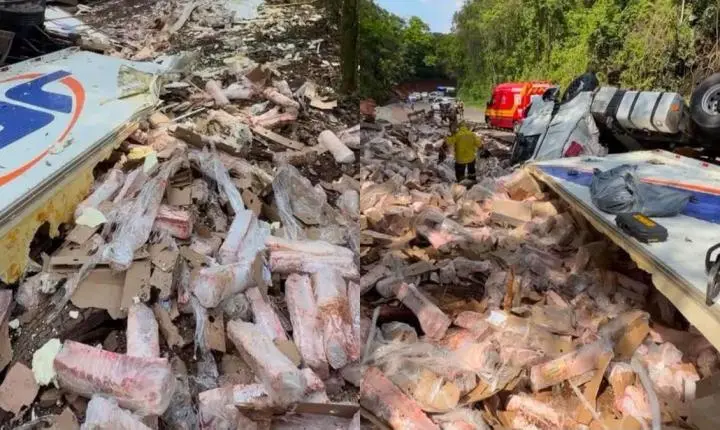 Caminhoneiro morre após carreta capotar e é encontrado sob carga de suínos em SC