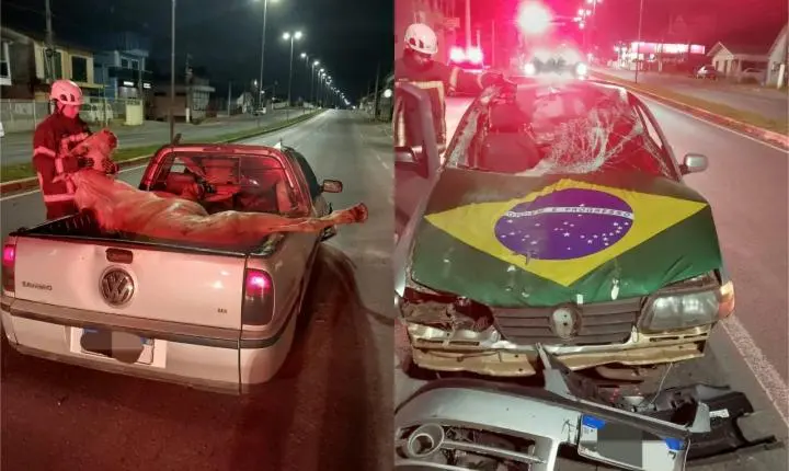 Carro bate contra cavalo, mulher fica ferida e animal vai parar na caçamba em Lages