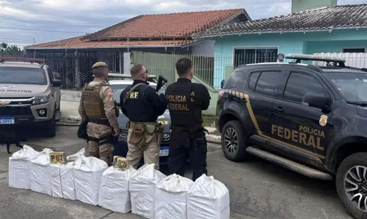 Depósito subterrâneo com 231 quilos de cocaína é descoberto em Itajaí