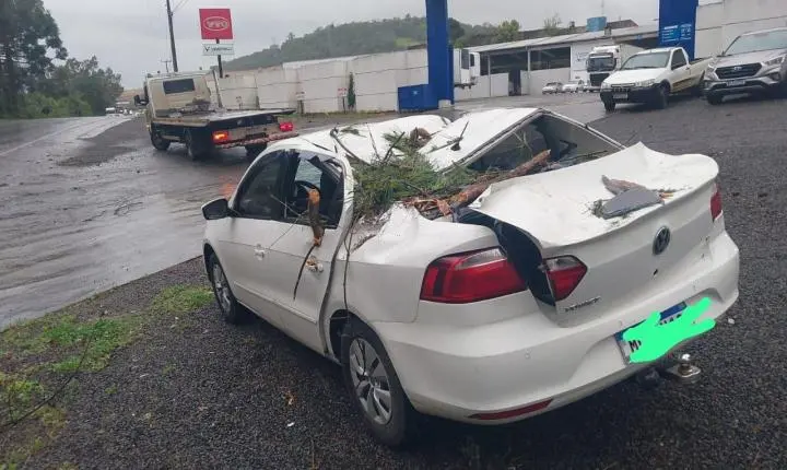 Duas árvores caem sobre rodovia e atingem carro na SC-355, em Videira