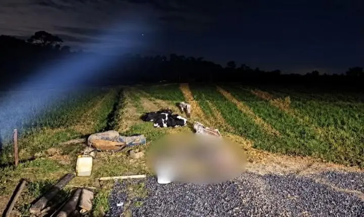 Homem encontrado morto após choque elétrico propriedade rural em Joinville 