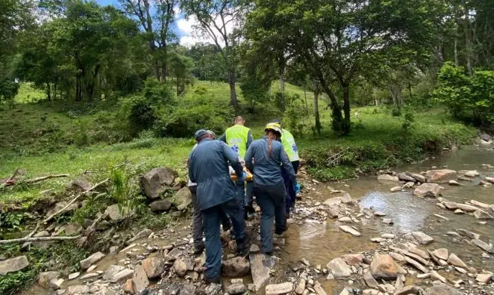 Idoso de 83 anos fica ferido durante corte de árvore em Papanduva