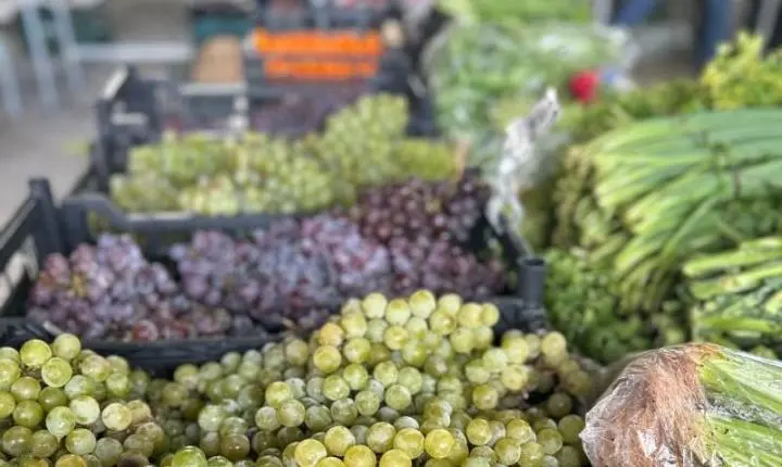 Programa Câmbio Verde será realizado no bairro Cruzeiro nesta sexta-feira