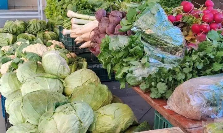 Programa Câmbio Verde terá três novas edições ainda neste mês