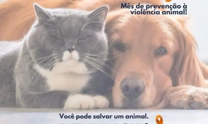 São Bento do Sul avança com políticas públicas sérias de proteção animal