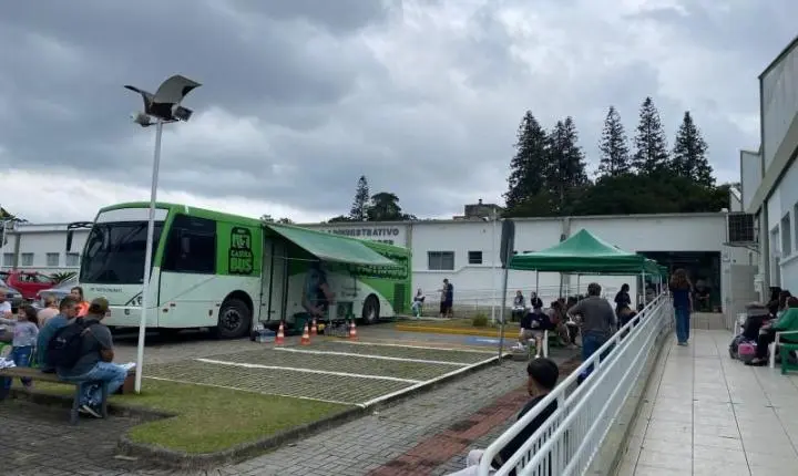 São Bento do Sul realizou 271 castrações no programa Pets Levado a Sério 