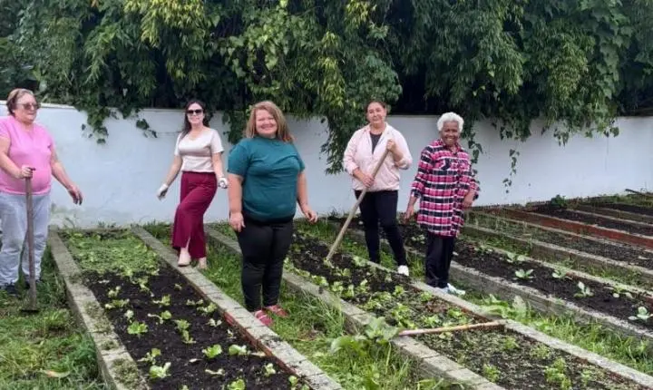 Venha cultivar amizade e bem-estar na Horta Comunitária